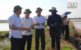 Thăm m&ocirc; h&igrave;nh t&iacute;ch tụ ruộng đất tại Kiến Xương