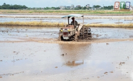 Tiền Hải: Đẩy nhanh sản xuất vụ m&ugrave;a