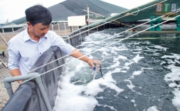Tiền Hải: Khắc phục kh&oacute; khăn trong nu&ocirc;i trồng thủy sản