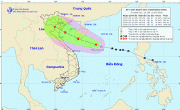 Tin &aacute;p thấp nhiệt đới tr&ecirc;n biển Đ&ocirc;ng