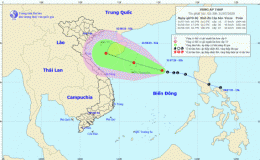 Tin về v&ugrave;ng &aacute;p thấp tr&ecirc;n biển Đ&ocirc;ng