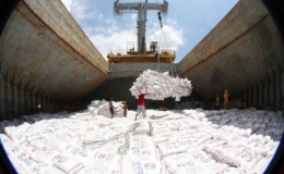 Xuất khẩu gạo Việt Nam vượt mặt Th&aacute;i Lan