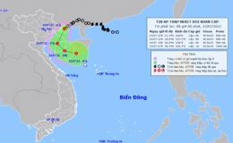 C&ocirc;ng điện khẩn số 08 của Ban Chỉ huy Ph&ograve;ng, chống thi&ecirc;n tai v&agrave; t&igrave;m kiếm cứu nạn tỉnh Th&aacute;i B&igrave;nh