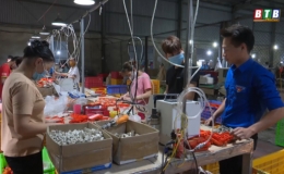 Gương thanh ni&ecirc;n Đ&ocirc;ng Hưng l&agrave;m kinh tế giỏi