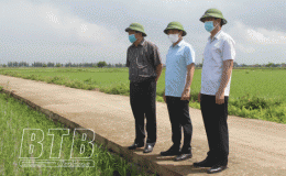 Kiểm tra, chỉ đạo sản xuất n&ocirc;ng nghiệp tại Hưng H&agrave;, Đ&ocirc;ng Hưng, Quỳnh Phụ
