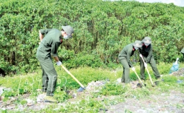 Lan tỏa th&ocirc;ng điệp bảo vệ m&ocirc;i trường từ những hoạt động cụ thể