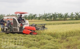 Li&ecirc;n kết - Hướng đi hiệu quả cho n&ocirc;ng nghiệp