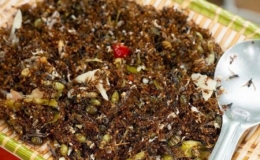 M&oacute;n ăn lạ từ kiến ở Ấn Độ