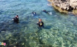 Ph&aacute;t triển du lịch lặn, trải nghiệm dưới nước tại Saudi Arabia