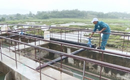 Quảng Y&ecirc;n (Quảng Ninh): Cải thiện m&ocirc;i trường n&ocirc;ng th&ocirc;n