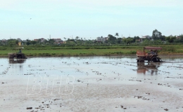 Quỳnh Phụ đ&atilde; gieo cấy được 1.500 ha l&uacute;a m&ugrave;a