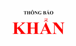 Th&ocirc;ng b&aacute;o khẩn số 09 t&igrave;m tất cả những người đến Bệnh viện Phổi H&agrave; Nội