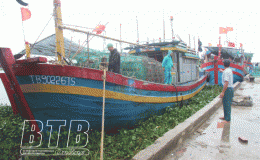 C&aacute;c địa phương, đơn vị: Chủ động ứng ph&oacute; với &aacute;p thấp nhiệt đới