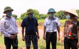 Xuất hiện ổ dịch c&uacute;m gia cầm A/H5N8