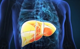 5 thực phẩm g&acirc;y hại cho gan