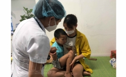 Gần 300 ca mắc tay ch&acirc;n miệng trong 6 th&aacute;ng đầu năm