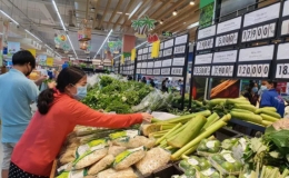 Lạm ph&aacute;t Việt Nam đang trong tầm kiểm so&aacute;t