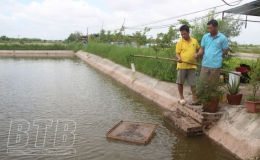 Nu&ocirc;i t&ocirc;m thẻ ch&acirc;n trắng tr&ecirc;n ao nước ngọt