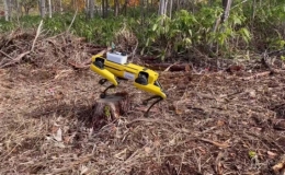 Robot hỗ trợ c&ocirc;ng việc l&acirc;m nghiệp ở Nhật Bản