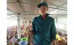 Thu nhập mỗi năm h&agrave;ng trăm triệu đồng từ trang trại VAC