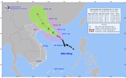 Tin b&atilde;o khẩn cấp (Cơn b&atilde;o số 1)