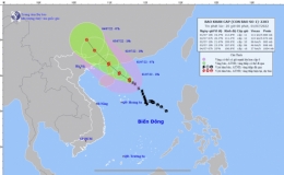 Tin b&atilde;o khẩn cấp (Cơn b&atilde;o số 1)