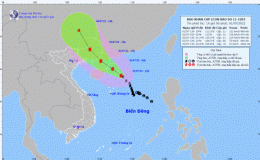 Tin b&atilde;o tr&ecirc;n biển Đ&ocirc;ng (Cơn b&atilde;o số 1)