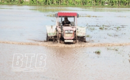 X&iacute; nghiệp Khai th&aacute;c c&ocirc;ng tr&igrave;nh thủy lợi huyện Tiền Hải: Điều h&agrave;nh nguồn nước linh hoạt phục vụ sản xuất vụ m&ugrave;a