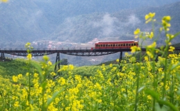 B&aacute;o Singapore gợi &yacute; 3 địa điểm ở Việt Nam để &ldquo;trốn n&oacute;ng&rdquo; m&ugrave;a h&egrave; n&agrave;y