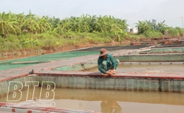 Bảo vệ thủy sản trước b&atilde;o số 1