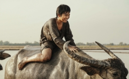 Diễn vi&ecirc;n nh&iacute; 'Đất rừng phương Nam' tự đ&oacute;ng cảnh mạo hiểm