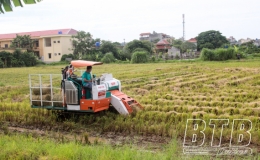 Giải b&agrave;i to&aacute;n xử l&yacute; rơm, rạ sau thu hoạch