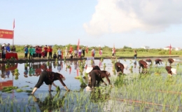 Lễ hội xuống đồng của ngư d&acirc;n s&ocirc;ng nước Bạch Đằng