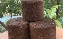 Sinh vi&ecirc;n chế tạo vi&ecirc;n n&eacute;n từ b&atilde; c&agrave; ph&ecirc; l&agrave;m chất đốt