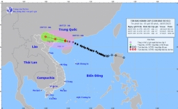 Tin b&atilde;o khẩn cấp (Cơn b&atilde;o số 1)