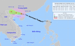 Tin b&atilde;o khẩn cấp (Cơn b&atilde;o số 1)