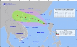 Tin b&atilde;o tr&ecirc;n biển Đ&ocirc;ng
