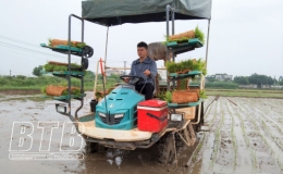 Vũ Thư: Khẩn trương phủ xanh c&aacute;c xứ đồng