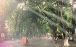 Bắc Bộ tiếp tục c&oacute; mưa r&agrave;o v&agrave; d&ocirc;ng