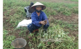 Điệp N&ocirc;ng thắng lớn vụ lạc xu&acirc;n 