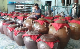  Hiệu quả sau 10 năm thực hiện t&iacute;n dụng ch&iacute;nh s&aacute;ch x&atilde; hội ở Quỳnh Phụ