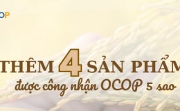 Th&ecirc;m 4 sản phẩm được c&ocirc;ng nhận OCOP 5 sao