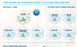 Động lực ch&iacute;nh của tăng trưởng 6 th&aacute;ng đầu năm 2024