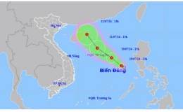 Khẩn trương ứng ph&oacute; &aacute;p thấp nhiệt đới tr&ecirc;n Biển Đ&ocirc;ng