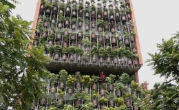 Ng&ocirc;i nh&agrave; c&oacute; bức tường xếp từ 500 chậu c&acirc;y cảnh