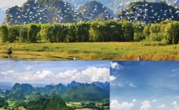 Quốc hội th&agrave;nh lập Đo&agrave;n gi&aacute;m s&aacute;t chuy&ecirc;n đề về bảo vệ m&ocirc;i trường