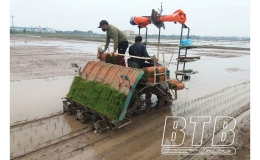 Rộn r&agrave;ng vụ m&ugrave;a ở Hưng H&agrave;