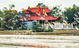 Tam triều đại đạo