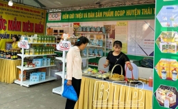  Th&aacute;i Thụy: Gi&aacute; trị sản xuất thương mại, dịch vụ tăng 5,1% so với c&ugrave;ng kỳ 