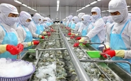 Thủy sản Việt Nam h&uacute;t kh&aacute;ch tại c&aacute;c thị trường l&acirc;n cận